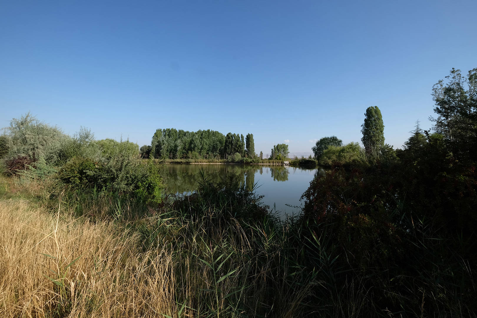 A New World of Plants in Ankara: National Botanical Garden