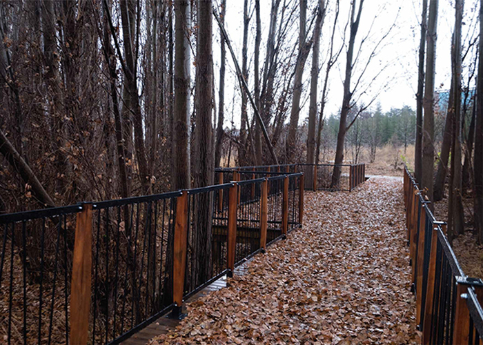 A New World of Plants in Ankara: National Botanical Garden